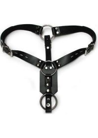 Anal Plug Harness with Cock Ring - Black